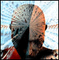 brainbuzzsmall brainbuzzsmall